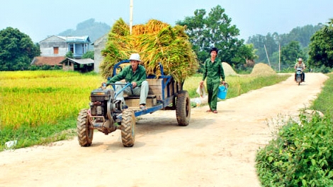 Đhanuôr Long An chrooi đoọng lấh 132 tỷ đồng bhrợ padưr vel bhươl t’mêê