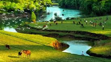 T'RUIH PHÁT THANH T'NGAY 27/12