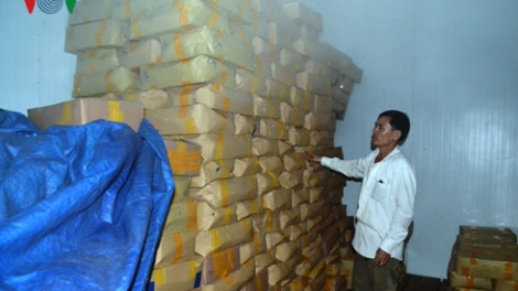Quảng Trị dzợ ặt k’đoong 1.500 tấn a’chông a’xiu cắh ơy bơơn pa’câl