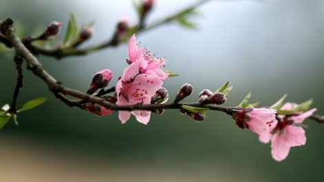 T'RUÍH PHÁT THANH T'NGAY 10-12