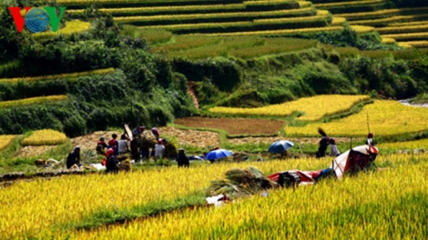 Văn nghệ Chủ nhật: BÀI CA BIÊN GIỚI