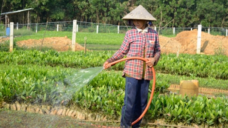 Bhrợ têng vel bhươl t’mêê đhị Đông Giang: pa liêm râu cắh ơy liêm đoọng t’váih pr’đợơ liêm choom lấh