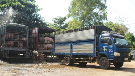 Pay k’rong a ọc đơơng pa câl ooy Trung Quốc vêy cơnh dưr váih rau cắh liêm crêê.