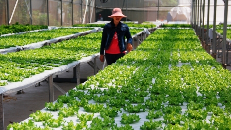 Quảng Trị bhrợ têng bấc chr’nóh chr’bêết liêm crêê
