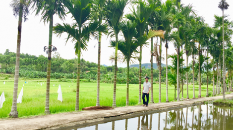 Tiên Phước – Quảng Nam: Pa dưr c’rơ âng đhanuôr bhrợ têng bhươl cr’noon t’mêê