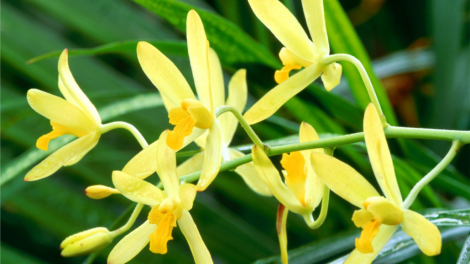 T'RUIH PA XUL T'NGAY 10/10/2021