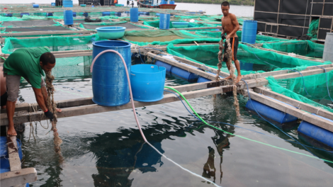 Đợ manuyh dưr k’van tơợ bh’rợ băn a chông axiu đươi đợ zên vặ âng Agribank