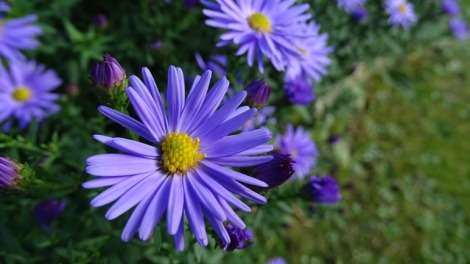 T'RUIH T'NGAY 24/3/2020