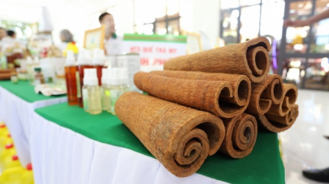 Da ding k’coong Quảng Nam: T’bhlâng xay bhrợ k’rơ tơợp bhrợ cha liêm choom