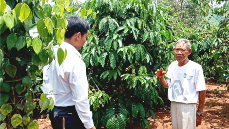 Đắk Lắk: Pa dưr rau chr’nắp âng manuýh vêy bấc ngai chắp cóh bh’rợ bhrợ têng bhươl cr’noon t’mêê