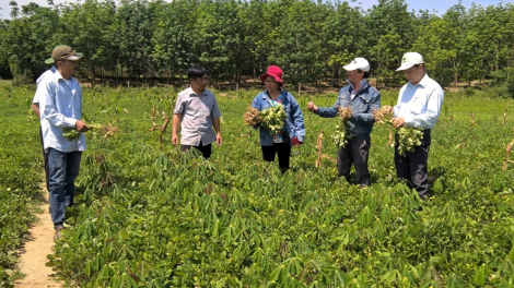 Quảng Trị: Bh’rợ chóh a rong đh’rứah lâng tâm phóc pa dưr đợ rau liêm choom đhị chr’hoong da ding k’coong Hướng Hoá