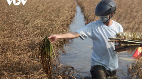 Năc ng’xăl bh’rợ pa bhrợ ch’choh b’băn crêê cơnh lâng đhr’năng pleng k’tiêc căh crêê liêm