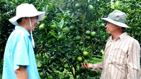 Liêm choom tơợ bh’rợ chóh píh ngam đhị k’tiếc phèn