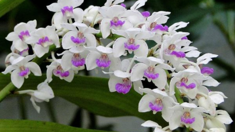 T’RUIH T’NGAY 5/7/2022