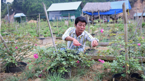 Bhươn chóh pô hồng cóh Tây Giang