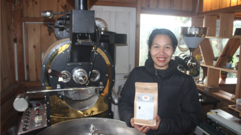 Pân đil K’ho tợơp  bhrợ cha tợơ cà phê Arabica Vàng