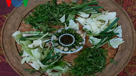 Nhót – ch’na k’dzuốh bấc ngai ma nứih Thái Sơn La kiêng cha