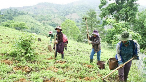 Quyết định 132 t’đui đoọng k’rong bhrợ cơ sở hạ tầng t’vaih k’tiếc bhrợ têng cha lâng k’tiếc ặt
