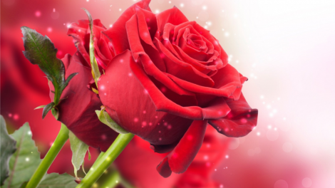 T'RUIH PA XUL T'NGAY 06/10/2020