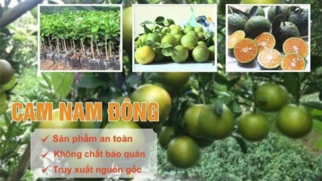 Cam Nam Đông- Zr’năh k’đhap zr’lụ pa câl