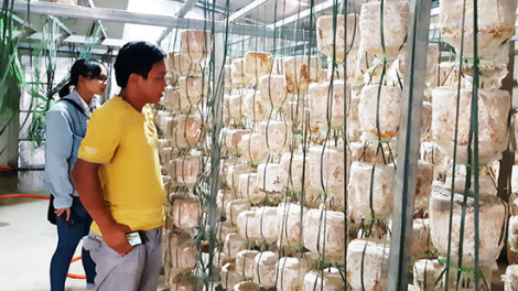 Đợ manuýh ta đhâm c’mor zay lâng bh’rợ ha rêê đhuốch