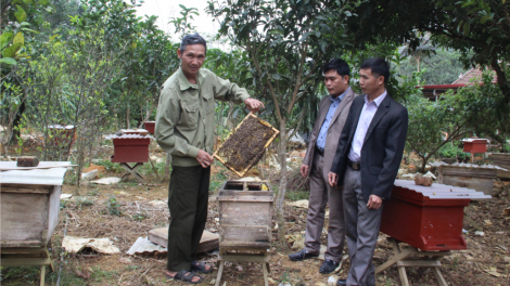 Cao Bằng: Đảng viên l’lăm xay bhrợ bh’rợ đơơng âng Nghị quyết lươt mọt ooy pr’ắt tr’mông