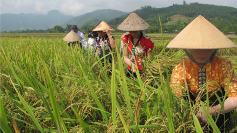 Yên Bái p’gít lêy padưr pa xớc bh’nơơn pr’đươi liêm chr’nắp