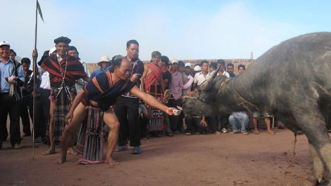 Đhanuôr Cơ Tu lơi j’niêng tắc t’rị coh t’ngay Tết Nguyên đán