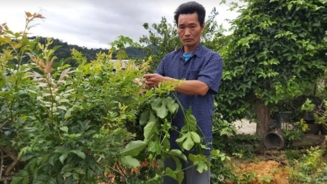 Manuyh Cơ Tu Quảng Nam tr’xăl pr’ăt tr’mông đươi zên vặ ngân hàng
