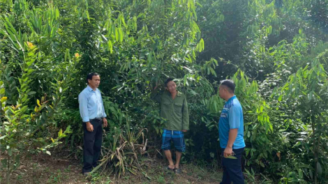 Đha đhâm manứih Dao: Tơợ pa tang k’roóc dưr váih giám đốc