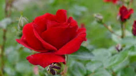 T'RUIH PA XUL T'NGAY 02/5/2020