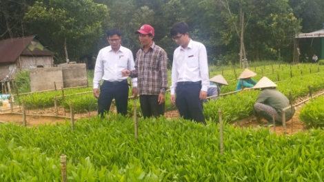 Tín dụng tam nông bhrợ c’lâng dưr zi lấh đha rứt đoọng ha đha nuôr cóh k’coong ch’ngai