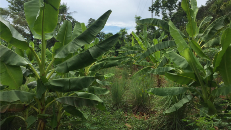 Z’lâh đha rựt đanh mâng tơợ cr’noọ bh’rợ choh prí thanh tiêu