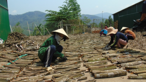 Đha nuôr Cor Trà Bồng coh đhr’năng pa xiêr đha rựt