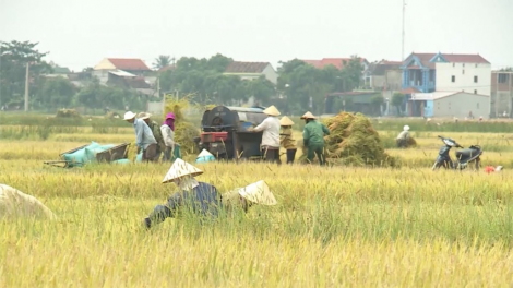 ​“Đhí Đại Phong” tr’ang liêm zr’lụ vel bhươl t’mêê