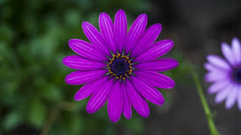 T'RUIH T'NGAY 12/11/2019