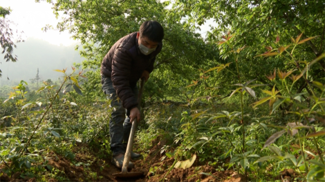 Choh ngũ gia bì hương- C’lâng pa dưr kinh tế t’mêê coh zr’lụ da ding k’coong Bắc Hà
