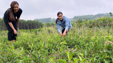 Đha đhâm chr’val c’noong k’tiếc cơnh lâng pr’đhang bh’rợ nang bhơi r’véh đong lái