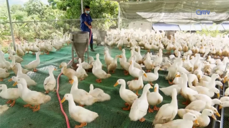 Đha đhâm Hướng Hóa đớp cha ner Lương Định Của