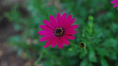 T’RÚIH T’NGAY 22/9/2019