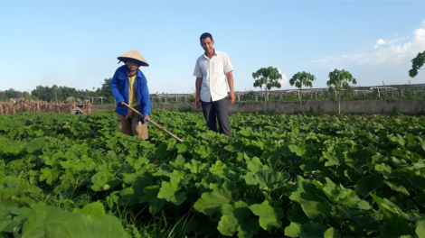 Quảng Nam liêm choom tơợ p’têết pazưm bhrợ têng ch’na đh’nắh liêm sạch coh zâp HTX
