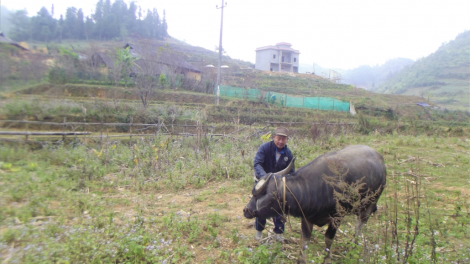 Pr’đhang tr’mông tr’meh k’rong zâp râu âng Giàng Seo Giáo