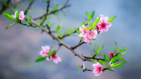 T’RUIH T’NGAY 10/5/2022