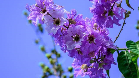 T'RUIH PA XUL T'NGAY 18/12/2021