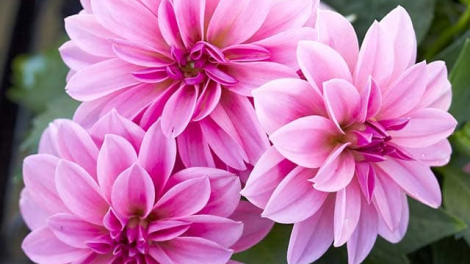 T'RUIH PA XUL T'NGAY 14-3-2022