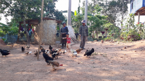 Hướng Hoá: Bh’nơơn z’zăng tợơ cr’noọ bh’rợ choh bấc tơơm băn bấc rau bh’năn