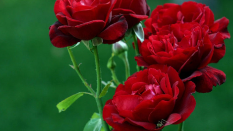 T'RUIH PA XUL T'NGAY 26/10/2020