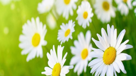 T'RUIH PA XUL T'NGAY 13/12/2021