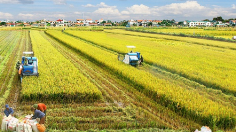 Bhrợ têng n’hau đoọng Bảo hiểm nông nghiệp pa dưr bh’nơơn liêm dal?
