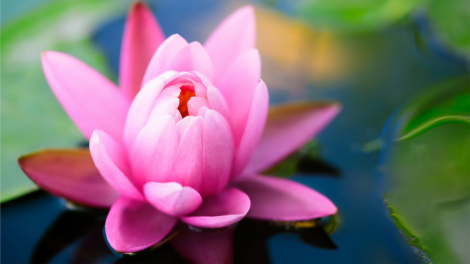 T'RUIH PA XUL T'NGAY 4/11/2021